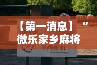 【第一消息】“微乐家乡麻将有什么技巧吗”真可以装挂