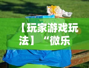 【玩家游戏玩法】“微乐广西麻将怎么打才会赢呢”科技辅助神器手机