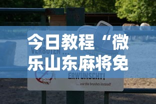 今日教程“微乐山东麻将免费挂”附透视挂详细教程 