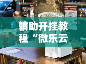 辅助开挂教程“微乐云南麻将开挂免费下载安装”详细透视辅助教程官方正版下载