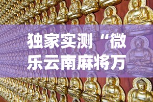 独家实测“微乐云南麻将万能开挂器”(其实是有挂)