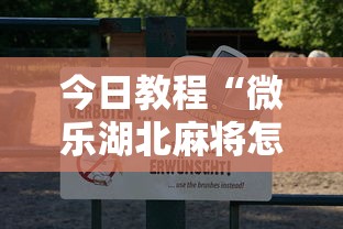 今日教程“微乐湖北麻将怎么开挂	”原来可以开挂