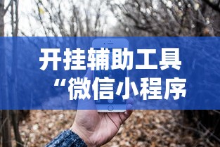 开挂辅助工具“微信小程序功夫川麻一直输”开挂辅助脚本+详细开挂