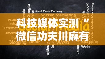 科技媒体实测“微信功夫川麻有没有挂	”详细分享装挂